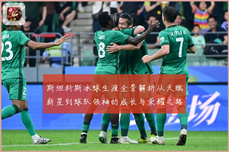 斯坦科斯冰球生涯全景解析从天赋新星到球队领袖的成长与荣耀之路：最新赛事动态与深度分析